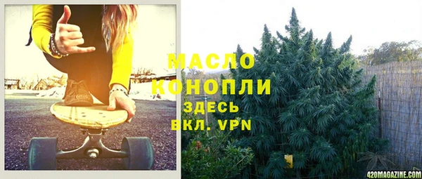 сатива Бородино