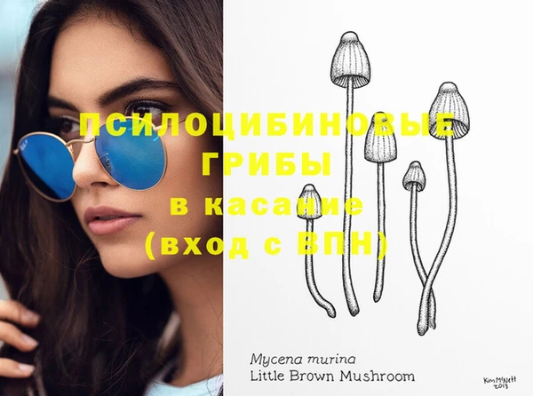 прущая мука Верея