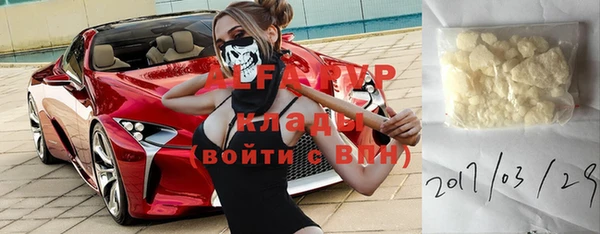 прущие грибы Березники
