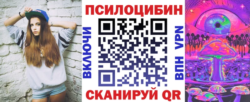 Галлюциногенные грибы Psilocybe  Вилюйск 